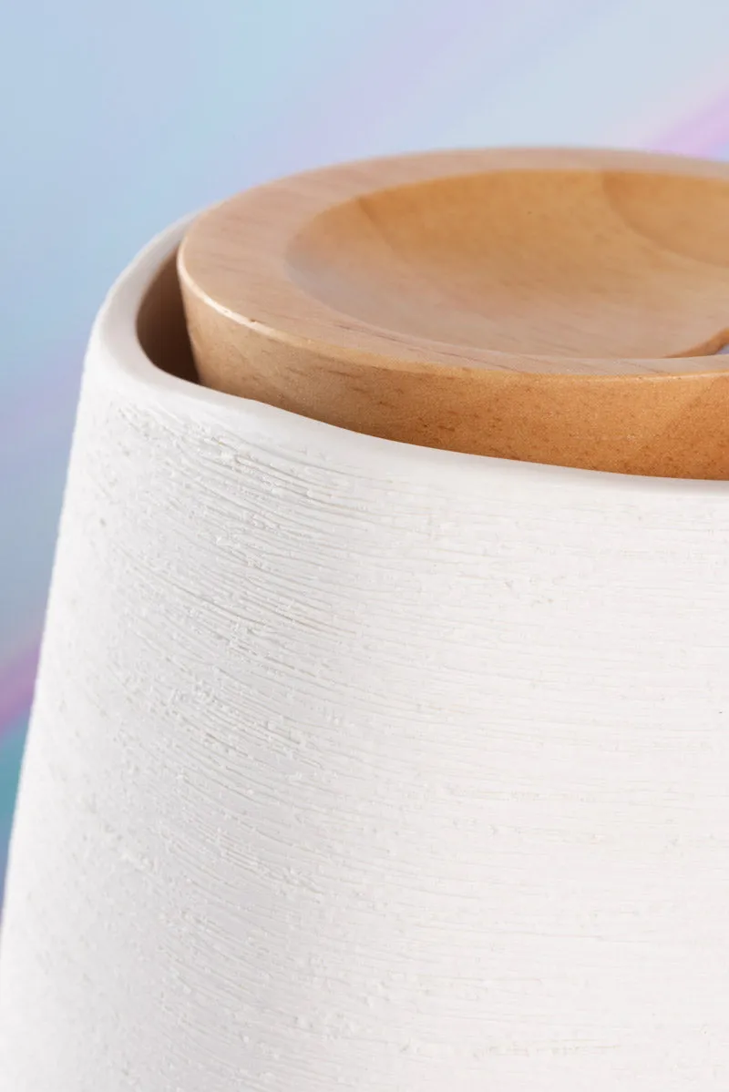 Aroma-Fern Diffuser