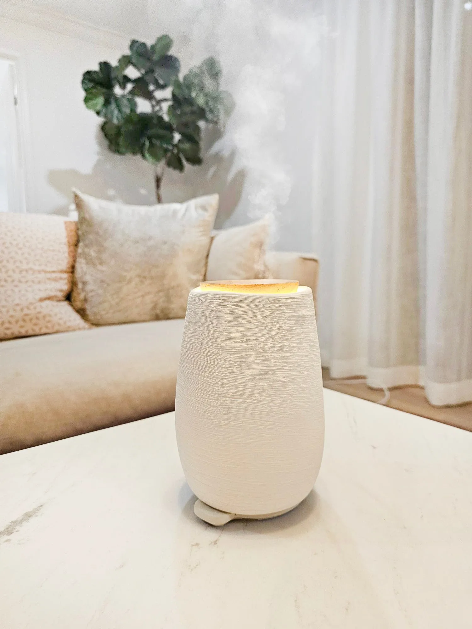 Aroma-Fern Diffuser