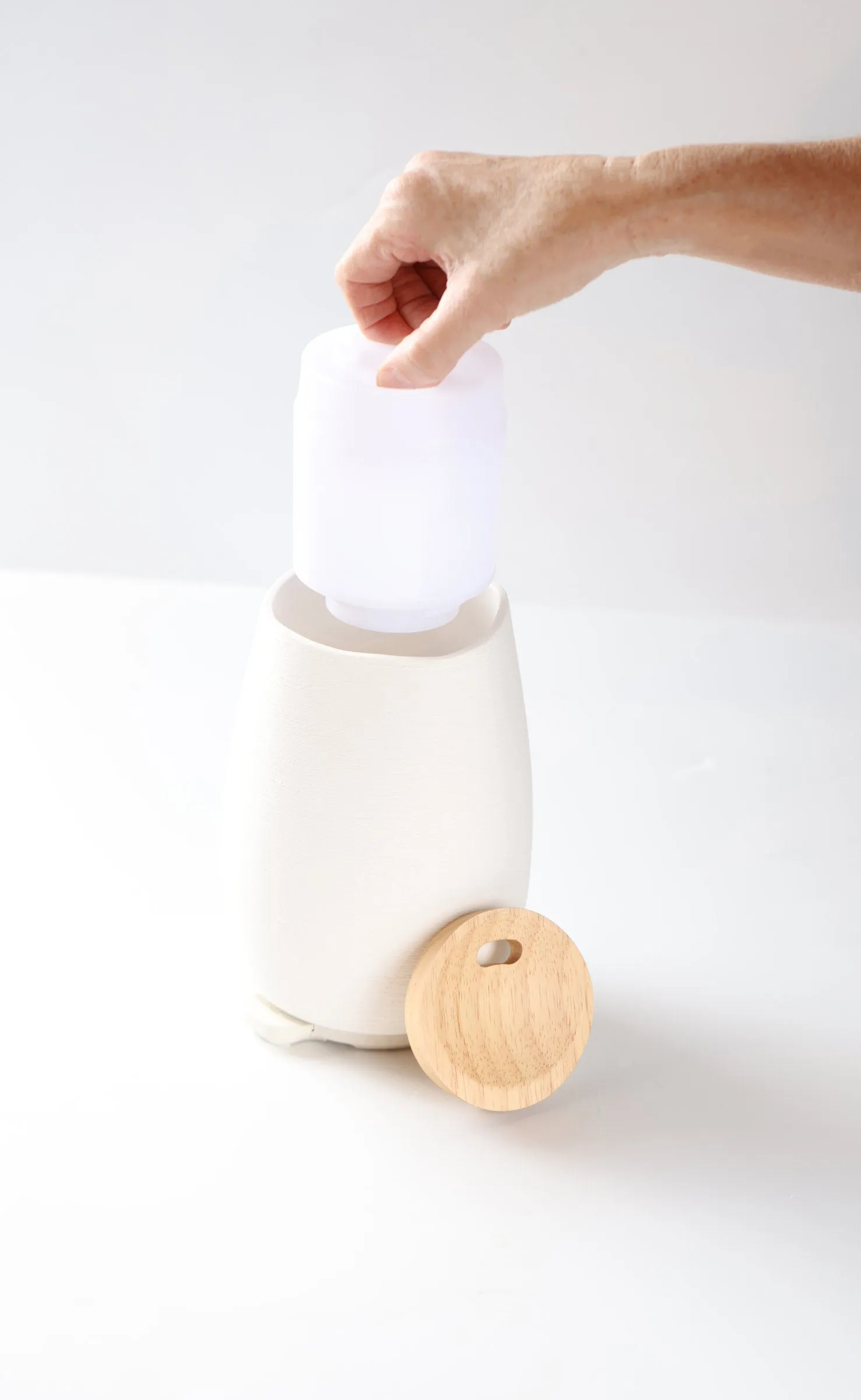 Aroma-Fern Diffuser