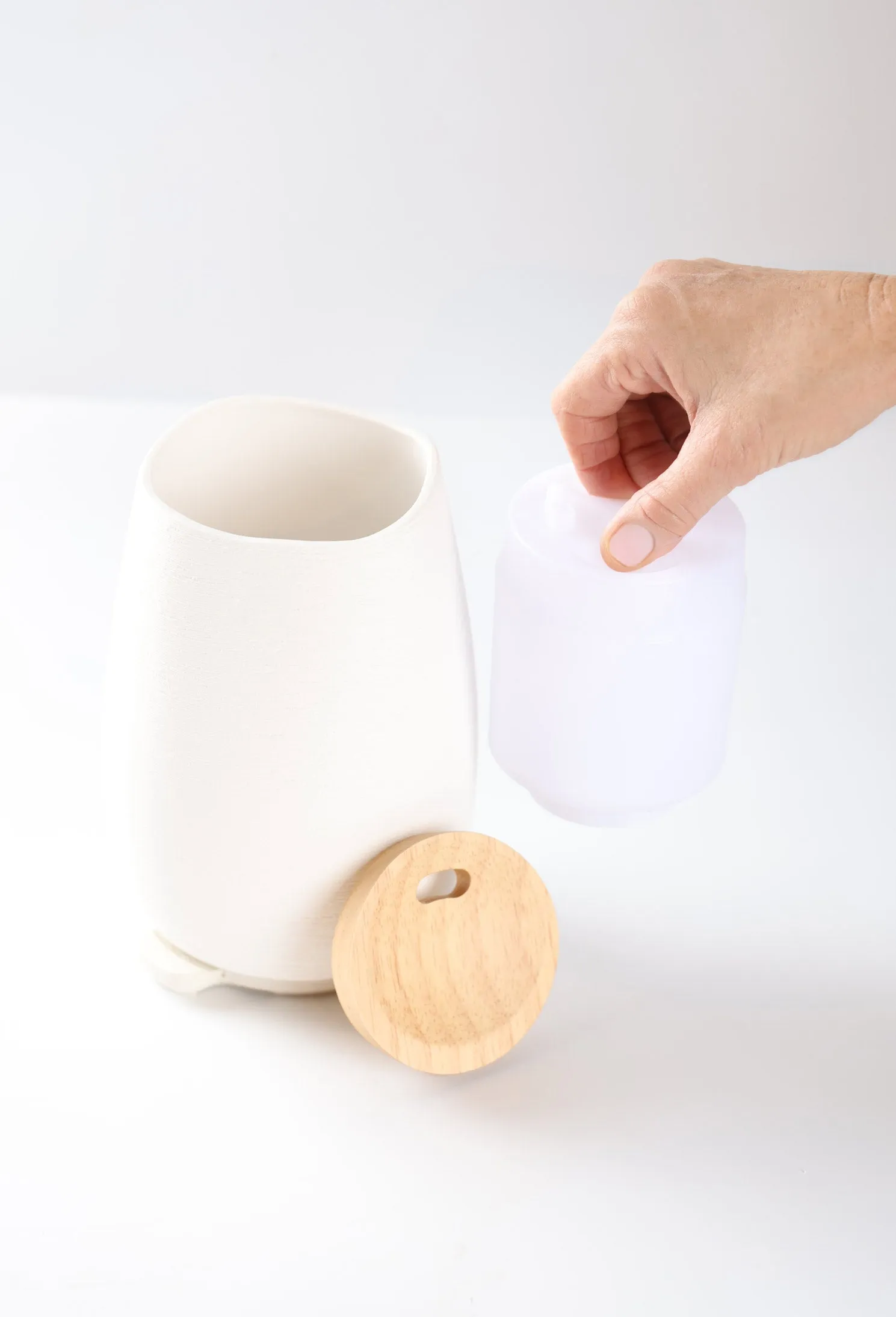 Aroma-Fern Diffuser