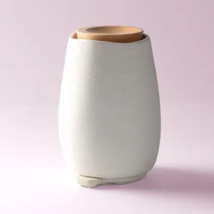 Aroma-Fern Diffuser
