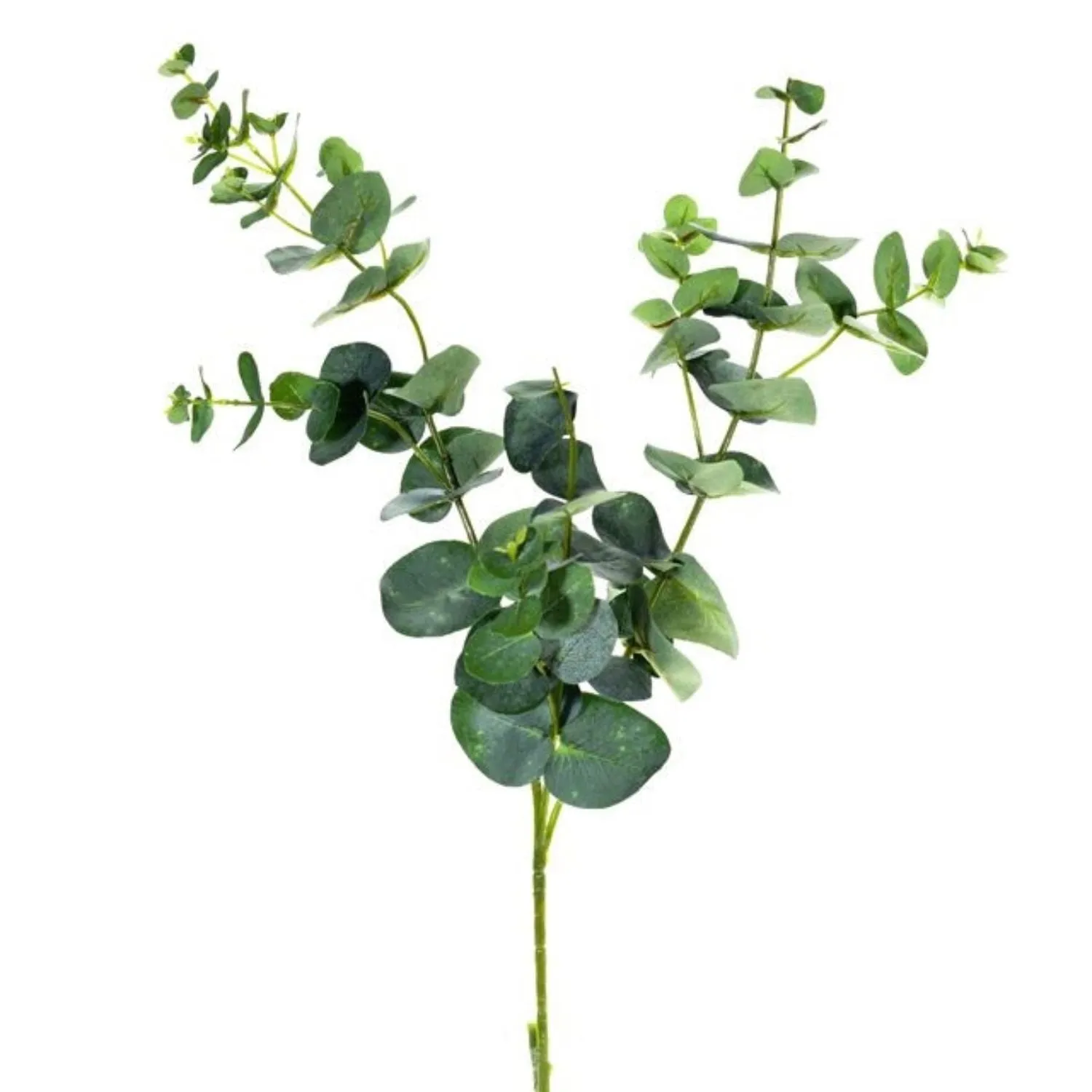 CB Imports 72cm Eucalyptus Spray Green