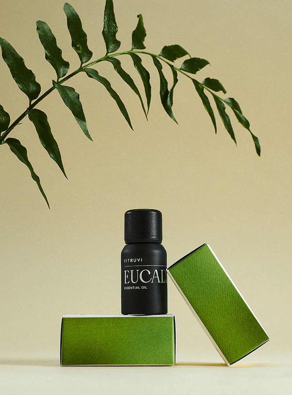 EUCALYPTUS - ESSENTIAL OIL