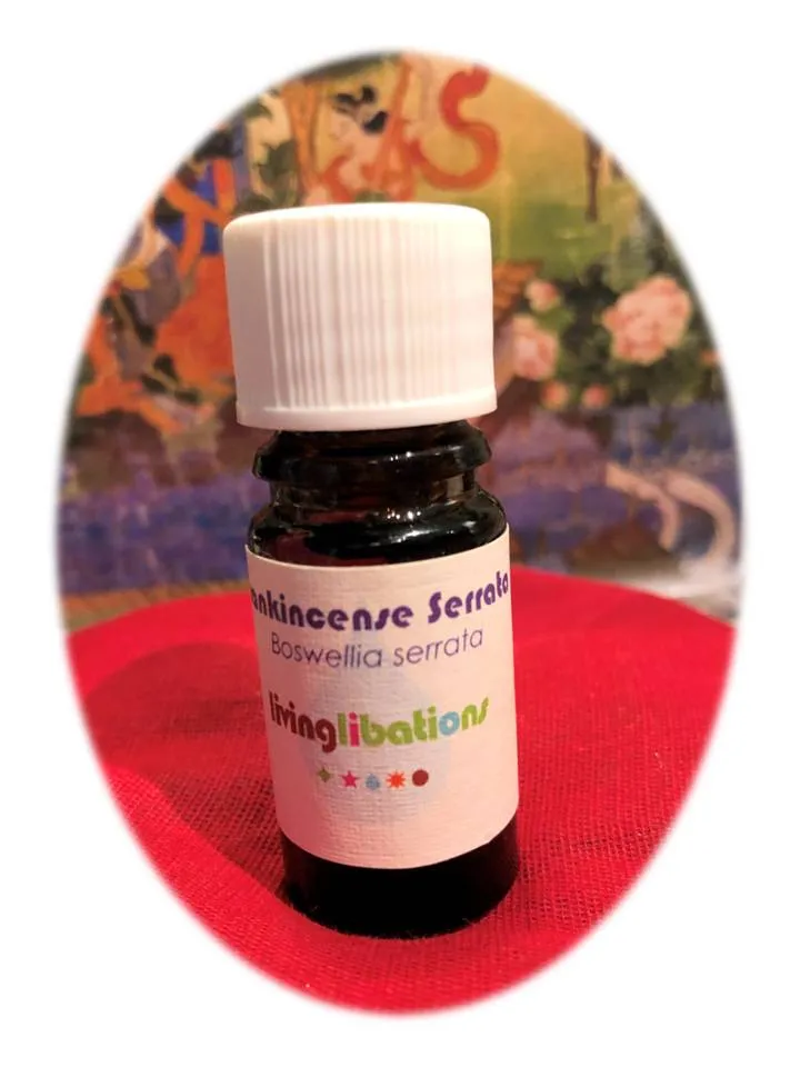 Frankencense Serrata Essential Oil 5 ml from Living Libations