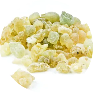 Frankincense Serrata Essential Oil - Living Libations