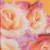 Indian Fragrance Oil