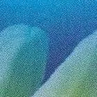 Indian Fragrance Oil