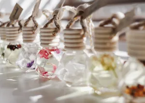 Infused Car Fragrance Diffusers