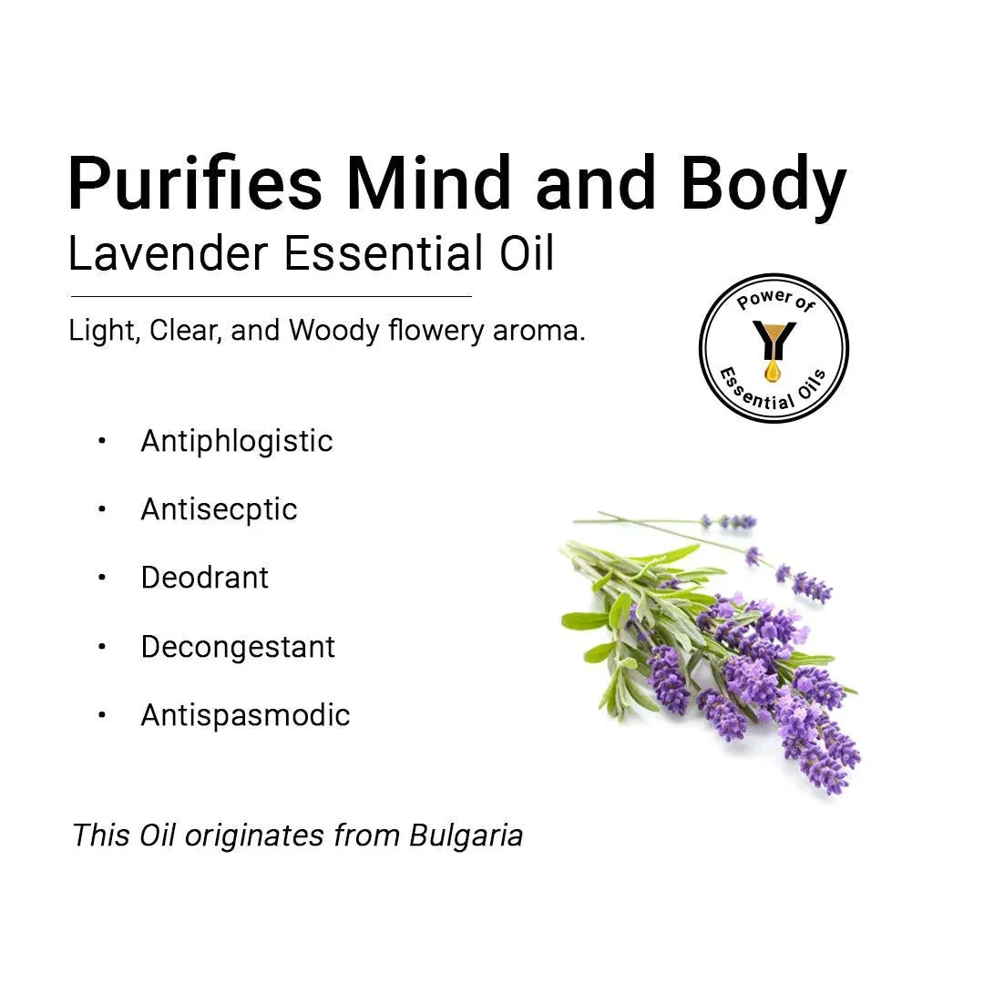 Lavender Essential Oil, Therapeutic, Pure & Natural, Stress Relief, Insomnia, Cold, Asthma, Skin & Hair Tonic 10ml