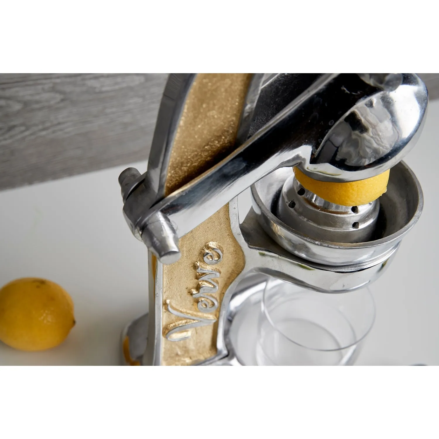 Mexican Citrus Juicer