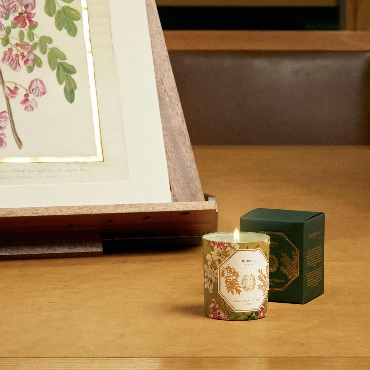Museum Edition Scented Candle in Acacia