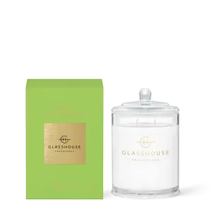 Picture Perfect Palm Springs Candle - (two sizes)