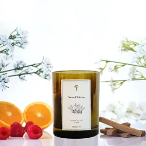 Pristine Swiss Château Inspired by Luxury Hilton Scented Candles 2 Candle Wicks