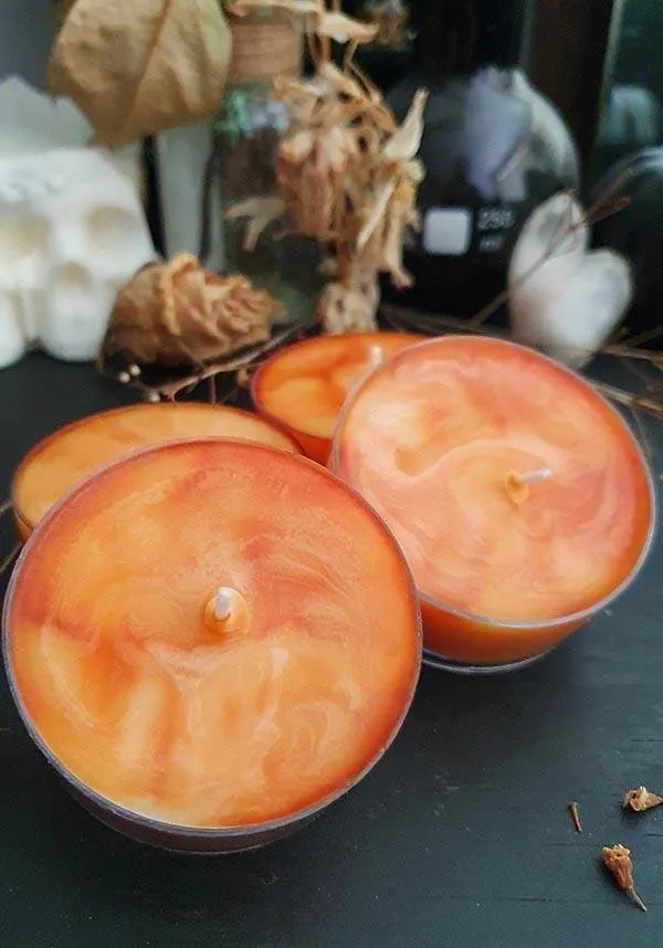 Pumpkin & Pecan Pie | MAXI TEALIGHTS [4 Pack]