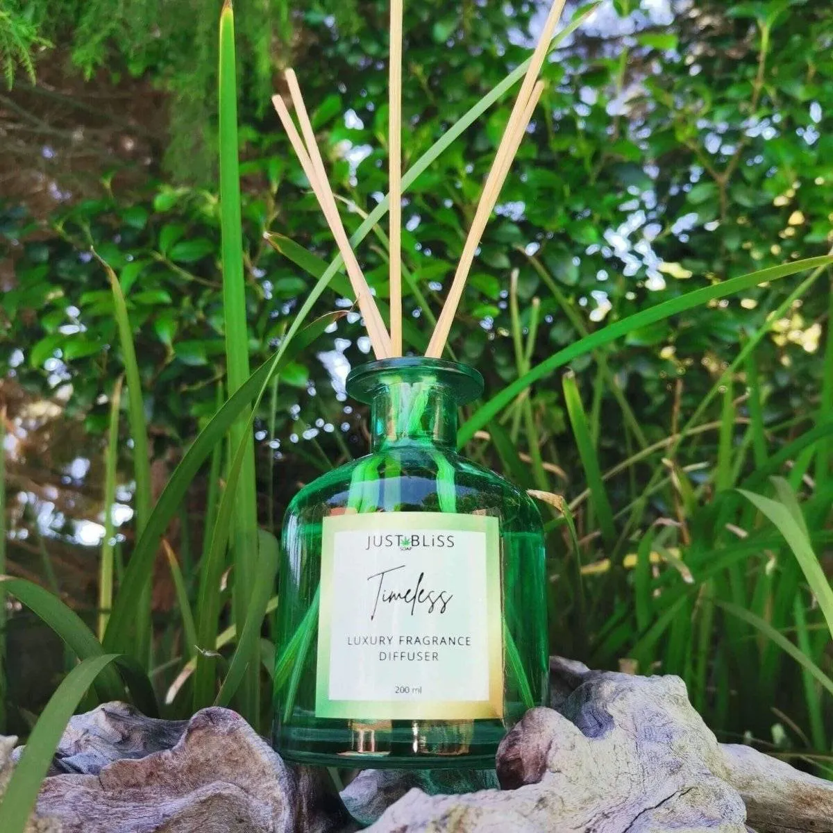 REED DIFFUSER: Timeless