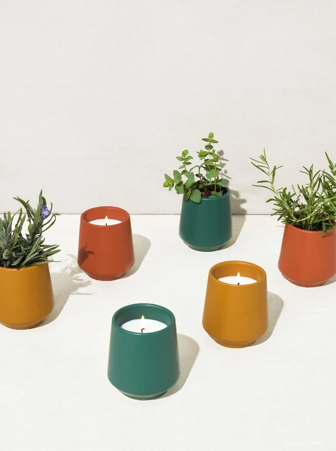 Rooted Candles