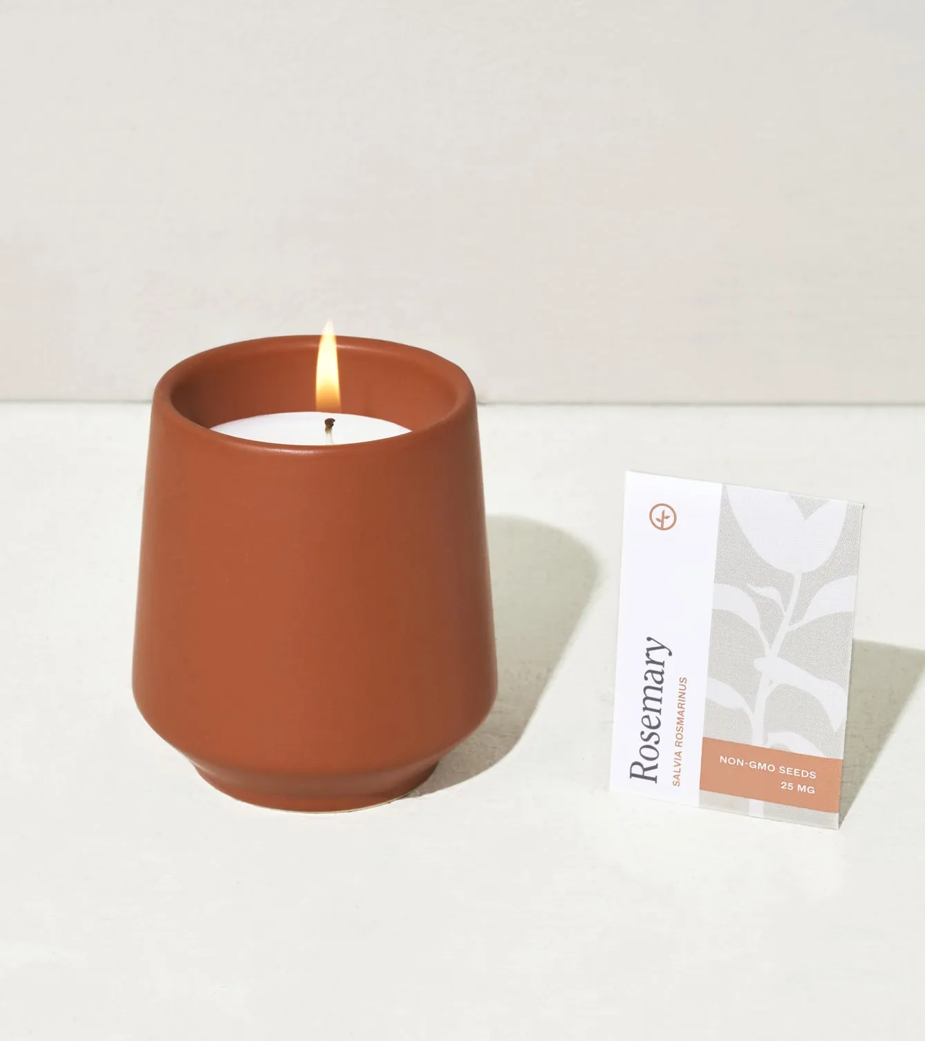 Rooted Candles