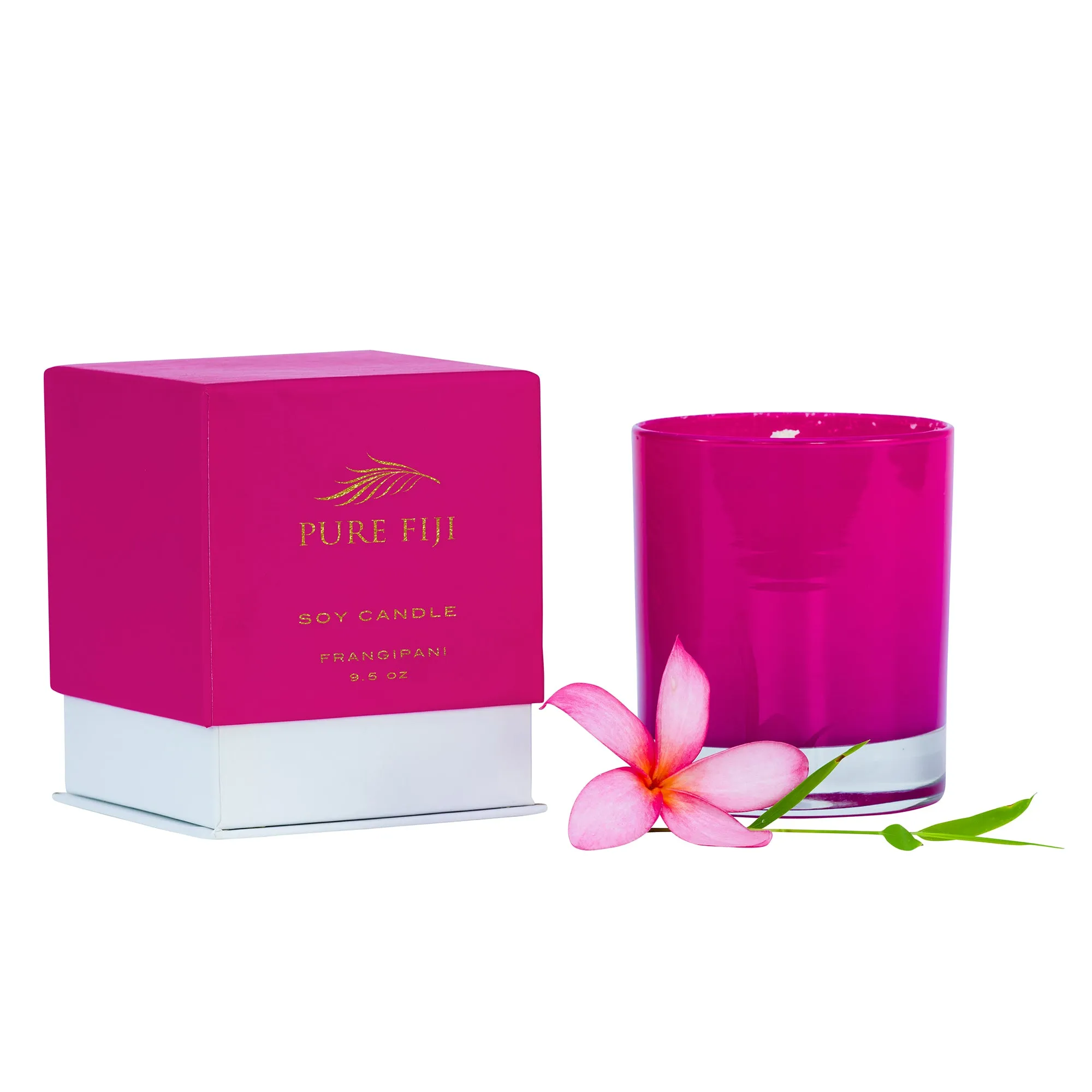 Soy Wax Candle (9.5oz/280ml)