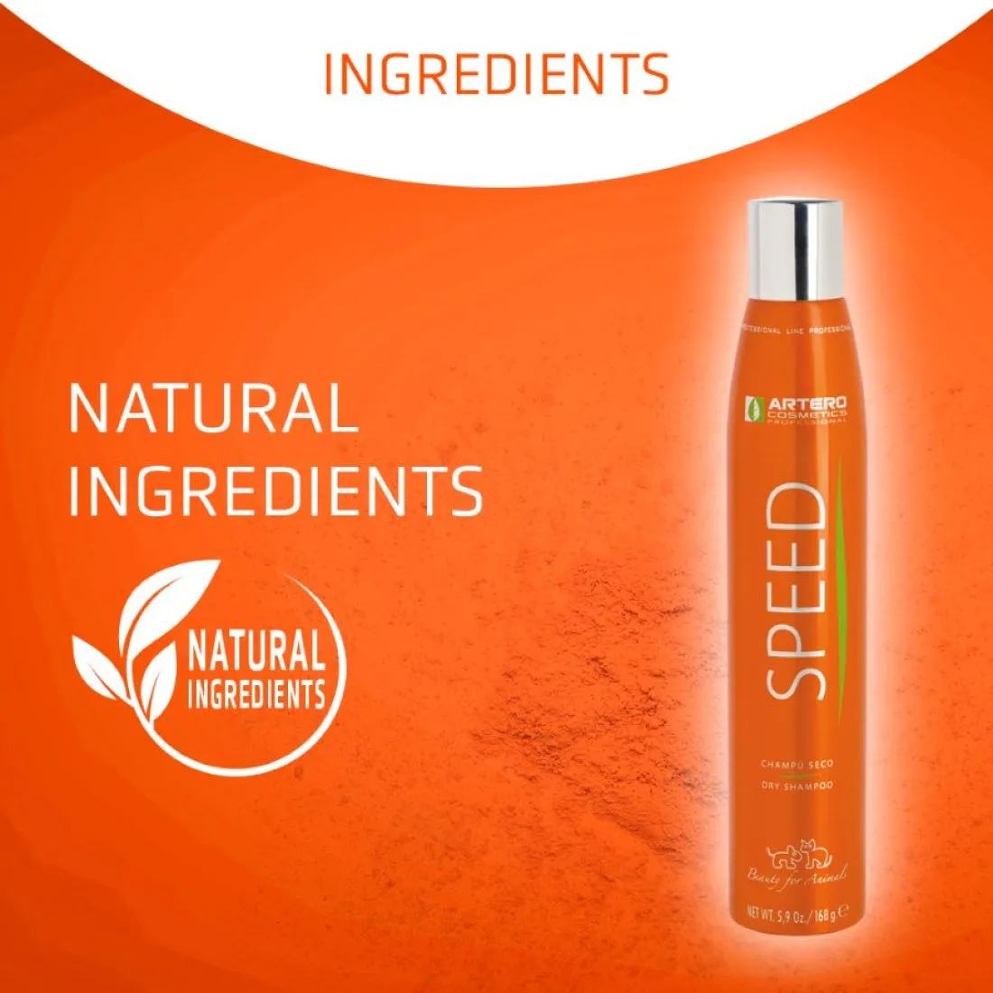 SPEED Dry Shampoo by Artero