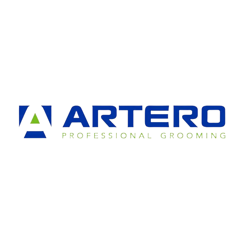 SPEED Dry Shampoo by Artero