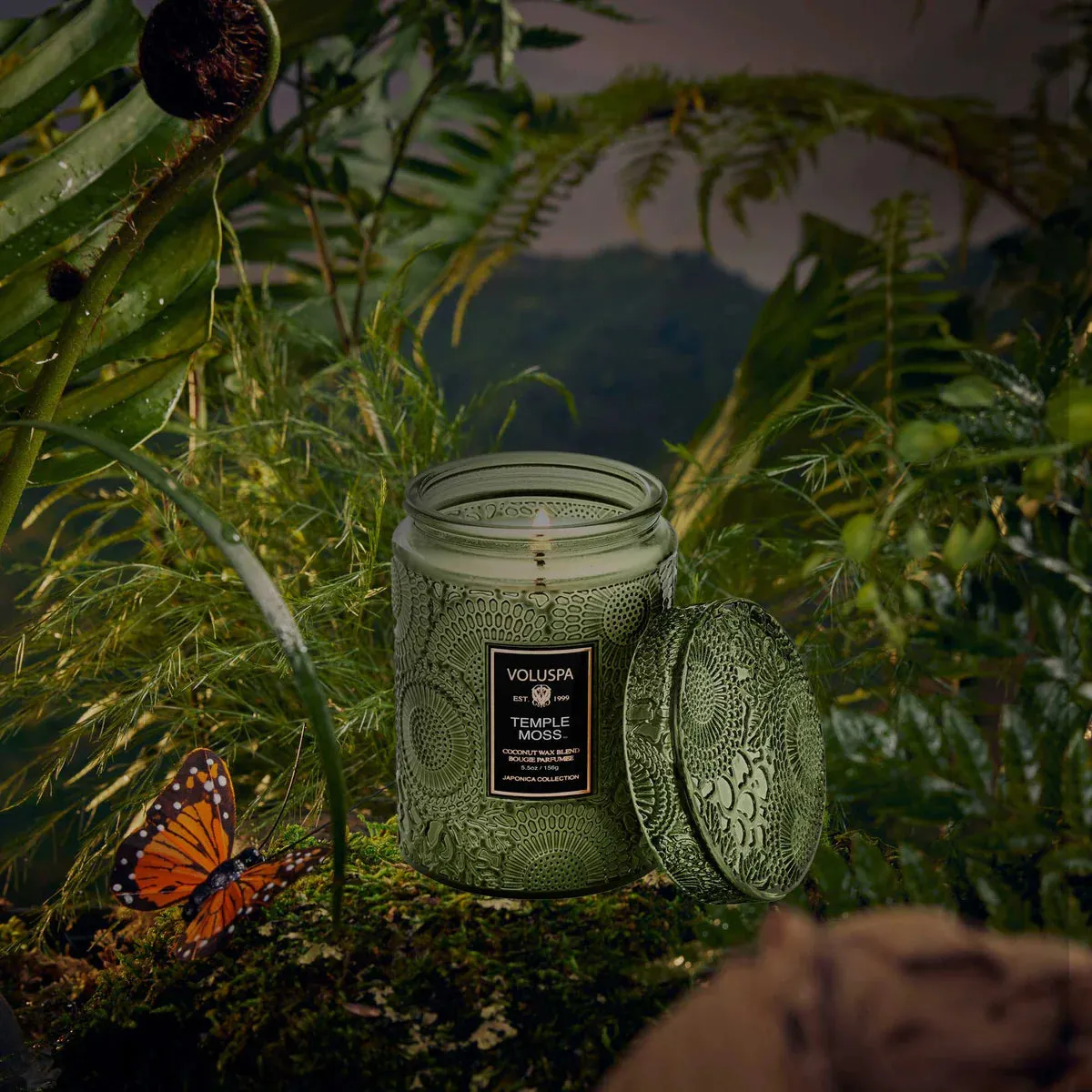 Temple Moss Small Jar 5.5oz