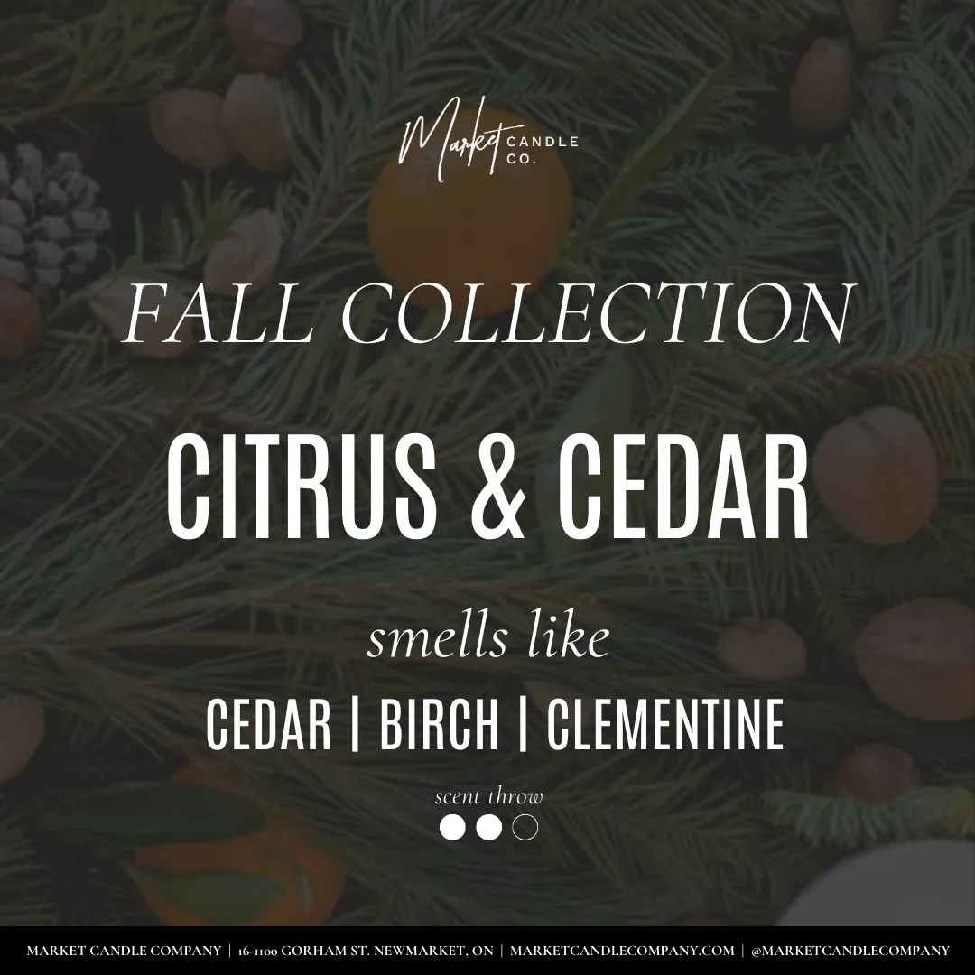 WHITE LABEL - CITRUS & CEDAR DIFFUSER REEDS - WHOLESALE