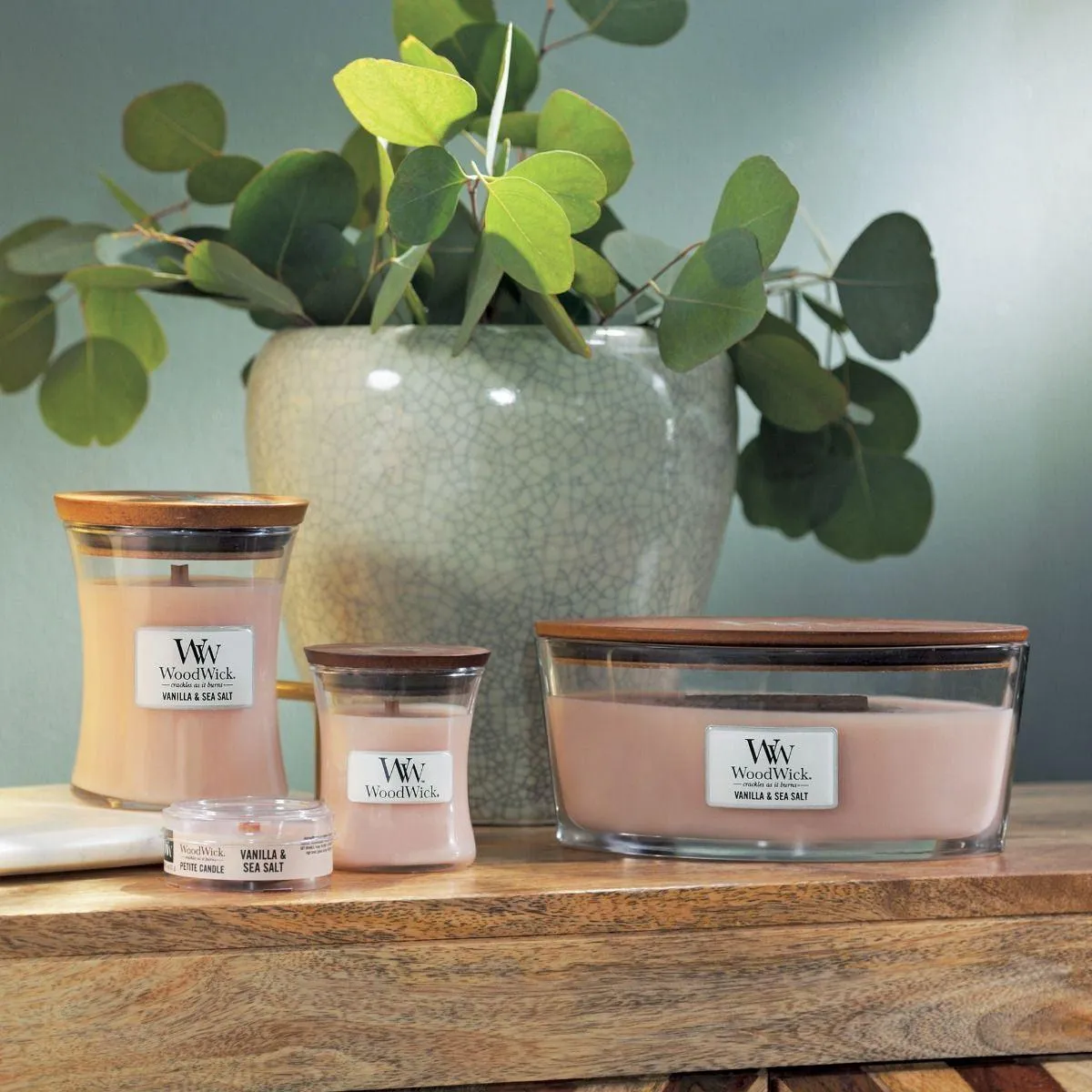 WoodWick Vanilla & Sea Salt Candle Crackles As It Burns Ellipse Hearthwick