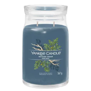 Yankee Candle 567g Bayside Cedar Signature Large Jar Candle